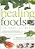 Healing Foods for Special D...
