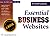 WebPointers Essential Business Websites  by Kitty   Williams