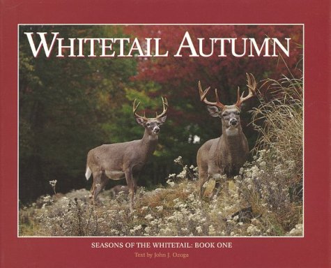 Whitetail Autumn (Seasons of the Whitetail, Book 1)