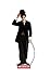CHAPLIN by David  Robinson