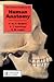 The Concise Handbook of Human Anatomy