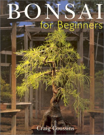 Bonsai for Beginners (Paperback)