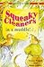 Squeaky Cleaners in a Muddle!