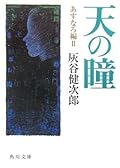 天の瞳 あすなろ編 2