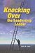 Knocking Over the Leadership Ladder by Paul Ford