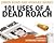 101 Uses of a Dead Roach