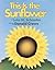 This Is the Sunflower