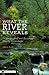 What the River Reveals by Valerie Rapp