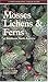 Mosses Lichens & Ferns of N...