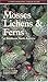 Mosses Lichens & Ferns of Northwest North America