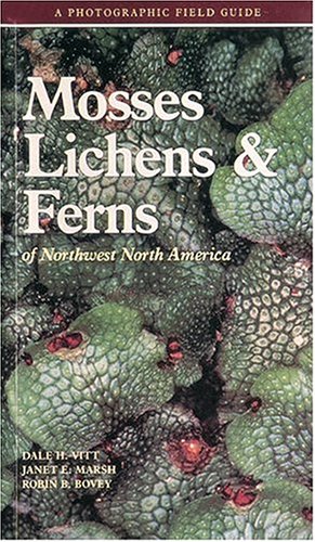 Mosses Lichens & Ferns of Northwest North America (Paperback)