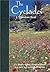 The Cyclades, or Life Among the Insular Greeks: First Published in 1885, a revised edition with additional material (3rdguide S)