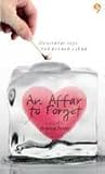 An Affair to Forget by Armaya Junior