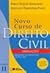Novo Curso de Direito Civil (volume 2)