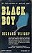 Black Boy: A Record of Chil...