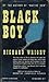 Black Boy by Richard Wright Black Boy by Richard Wright