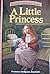 A Little Princess (Treasury of Illustrated Classics)