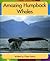 Amazing Humpback Whales