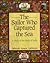 The sailor who captured the sea: A story of the Book of Kells