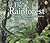 The Rainforest