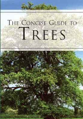 A Concise Guide to Trees (Paperback)
