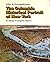 The Columbia Historical Portrait of New York: An Essay in Graphic History