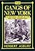 The Gangs of New York: An Informal History of the New York Underworld
