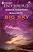 Bullseye (Big Sky Bounty Hunters, #2)