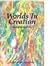 Worlds in Creation