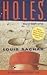Holes by Louis Sachar