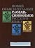 Новый объяснительный словарь синонимов русского языка (2-е издание, исправленное и дополненное)