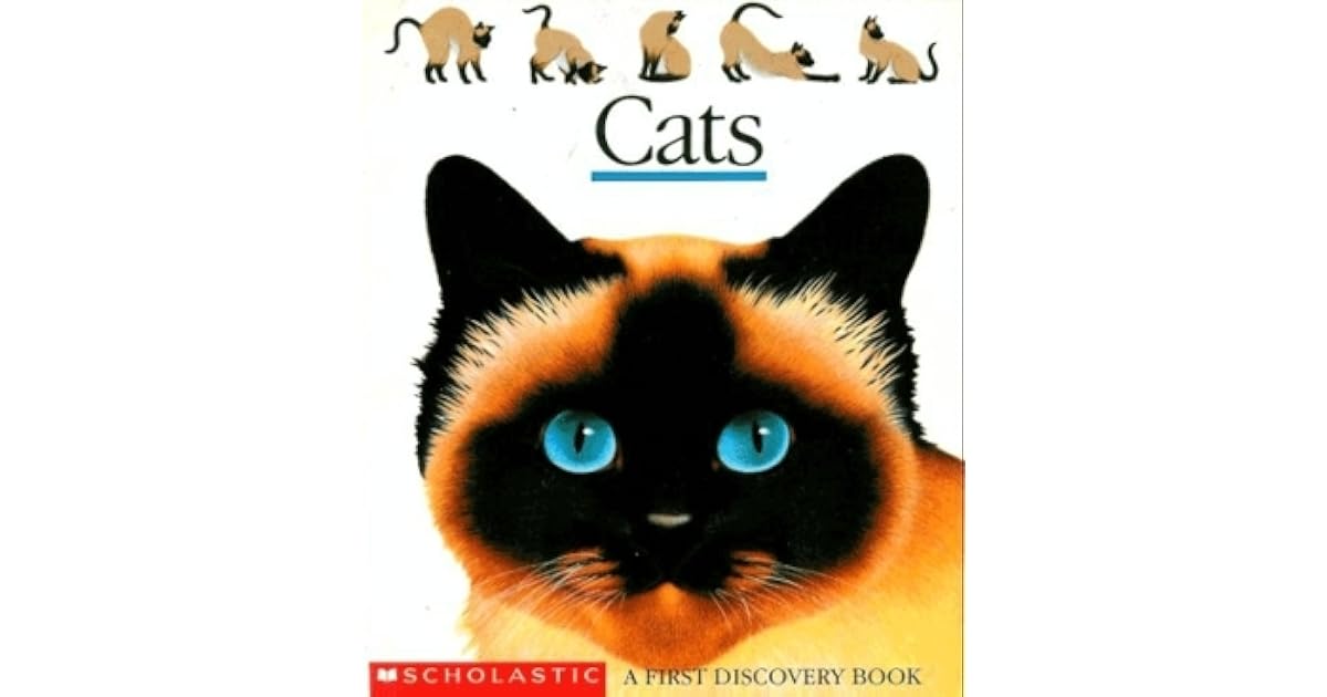 Cats By Pascale De Bourgoing Cats By Pascale De Bourgoing