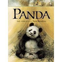 Panda (Paperback)