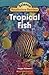 Tropical Fish (Science Vocabulary Reader)