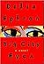 Big City Eyes by Delia Ephron