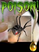 Poison! (Hardcover)