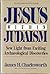 Jesus Within Judaism: New Light from Exciting Archaeological Discoveries (The Anchor Bible Reference Library)