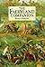 The Faeryland Companion by Beatrice Phillpotts