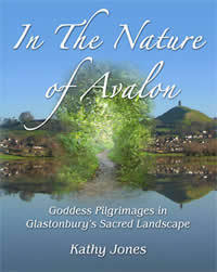 In the nature of Avalon (Paperback)