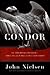 Condor by John Nielsen
