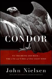 Condor: To the Brink and Back--The Life and Times of One Giant Bird (Hardcover)