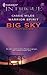 Warrior Spirit (Big Sky Bounty Hunters, #3)