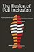 Illusion of Full Inclusion:...