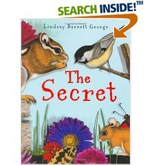 The Secret (Hardcover)
