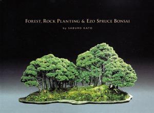 Forest, Rock Planting & Ezo Spruce Bonsai (Hadrcover)