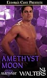 Amethyst Moon (T'ar Tal, #1)