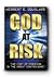 God at Risk: The Cost of Fr...