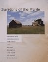 Skeletons of the Prairie: Abandoned Rural Codington County, South Dakota
