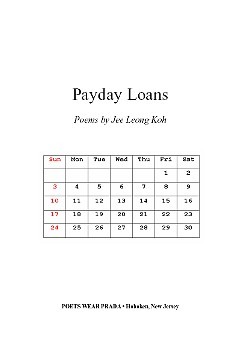 Payday Loans (Paperback)