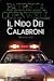 Il Nido Dei Calabroni (Andy Brazil, #1)